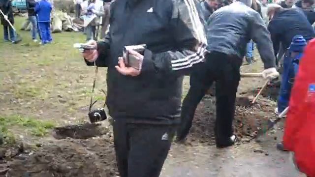 Грабли и флаги за тарелку каши