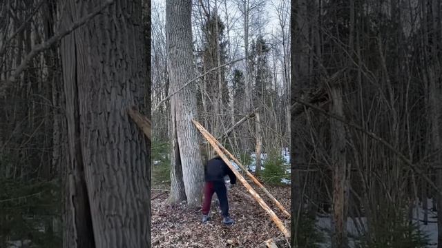 Когда хочется от всех убежать. смотреть онлайн