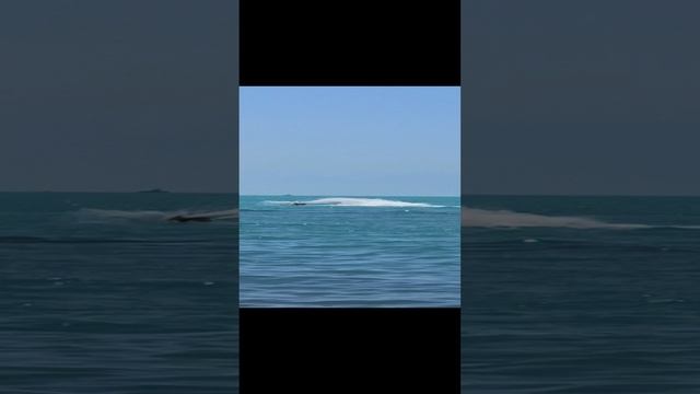 На море на Чёрном смотреть онлайн