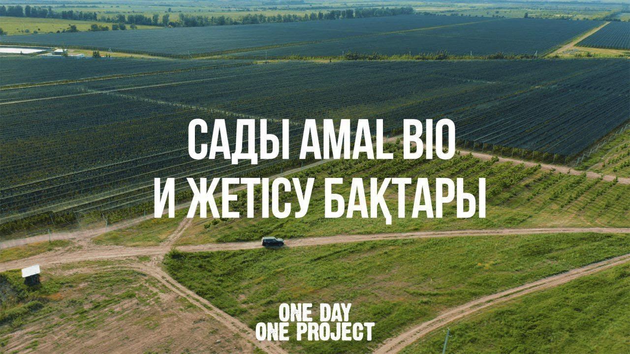 1 DAY 1 PROJECT: "Сады Amal Bio и Жетісу бақтары" смотреть онлайн