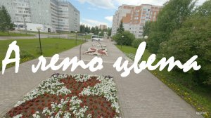 А лето цвета