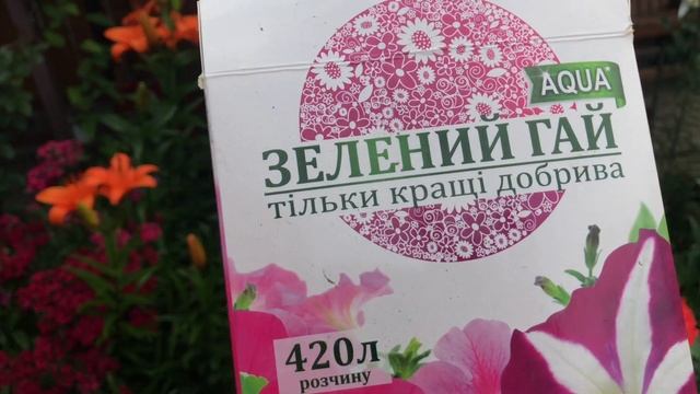 Ампельные петунии от семьян до цветения//Ampelny petunias from family to flowering смотреть онлайн