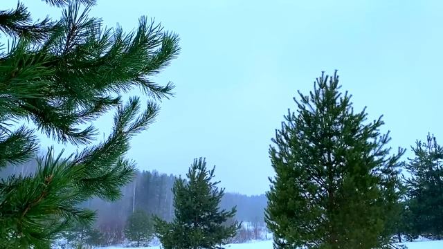 16 февраля День Симеона и Анны. Что нельзя делать 16 февраля. Народные традиции и приметы и суевери смотреть онлайн