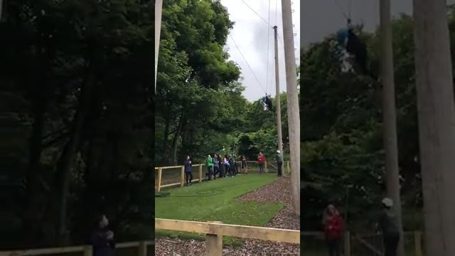 Гигантские качели смотреть онлайн