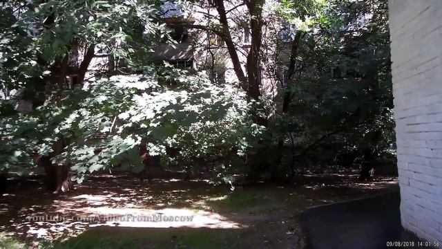 Перово-Новогиреево, места моего детства // 9 августа 2018 смотреть онлайн