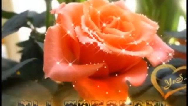 Веселые поздравления с Днем рождения женщине смотреть онлайн