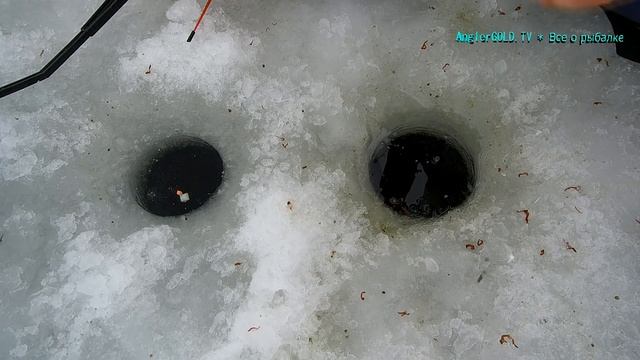 ???Ловля плотвы зимой. Озернинское водохранилище. Экшн-рыбалка. смотреть онлайн