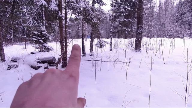 МЕТАЛЛОКОП. Первый кабанчик. Зима не отступает, но металла набрал. смотреть онлайн