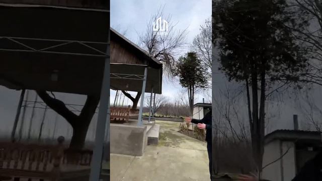 Bo’stonliq tumanida 3 GEKTAR yer sotiladi смотреть онлайн