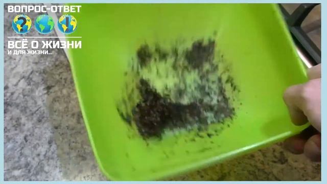 Как обжарить зерновой кофе в домашних условиях