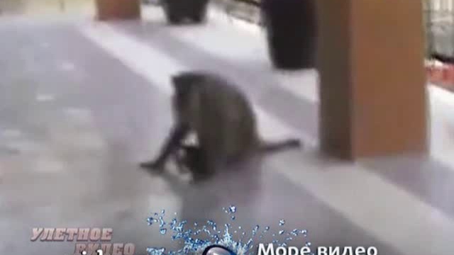 Улётное видео по-русски смотреть онлайн