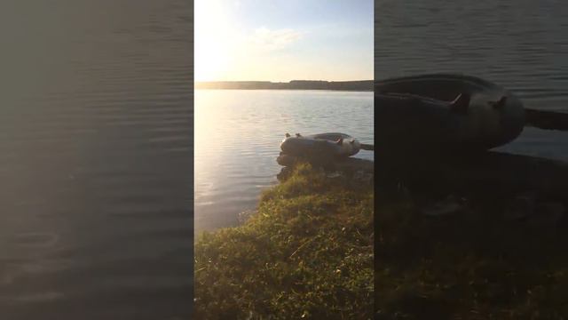 Рыбалка в Гамово смотреть онлайн