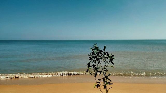 4K Video Of Ocean Waves Crashing On A Tropical Beach With Soothing Sounds For Sleep, Study And Rela
