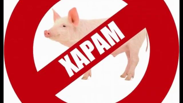 почему мусульмане не едят свинину смотреть онлайн