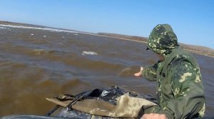 Суровая рыбалка на Амуре. Сазан.