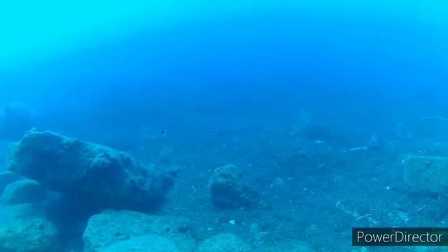Diving Kemer/Дайвинг в Кемере смотреть онлайн