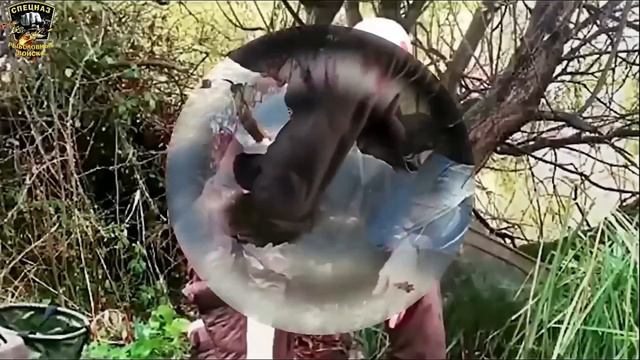 ПРИКОЛЫ НА РЫБАЛКЕ 2024 / ШОК РЫБАЛКА / СЛУЧАИ НА РЫБАЛКЕ / ТРОФЕЙНАЯ РЫБАЛКА / ПЬЯНЫЕ НА РЫБАЛКЕ смотреть онлайн