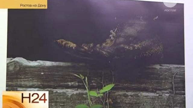 Полёты во сне и наяву смотреть онлайн