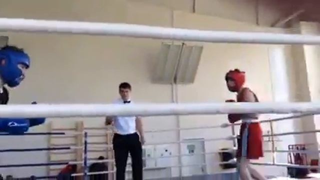 Чечуров-Камышников смотреть онлайн