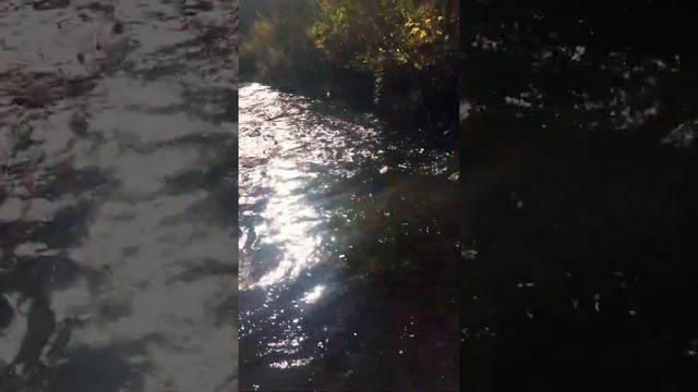 США штат Миннесота смотреть онлайн