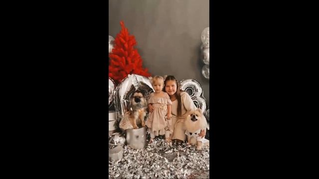 mikki-dog.ru Новогодняя фотосессия 2023 смотреть онлайн