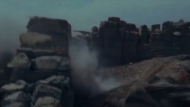 Аист на крыше! (Dildora Niyozova) смотреть онлайн