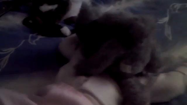 Драка с волком смотреть онлайн