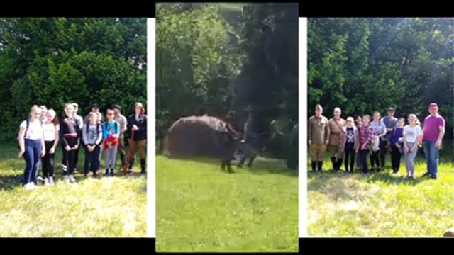 Велопоход, май 2019 смотреть онлайн