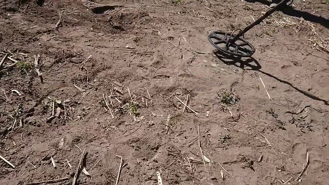 Minelab Vanquish 540 против Xp Deus и Minelab Equinox 800 тест на разделение