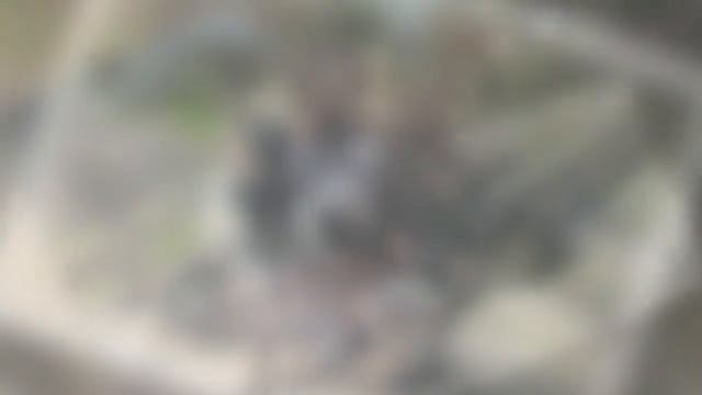 ПРОЩАЙ, ЛЮБИМАЯ ШКОЛА! 11 Б КЛАСС МБОУ СОШ №7 г. ГЕОРГИЕВСК смотреть онлайн