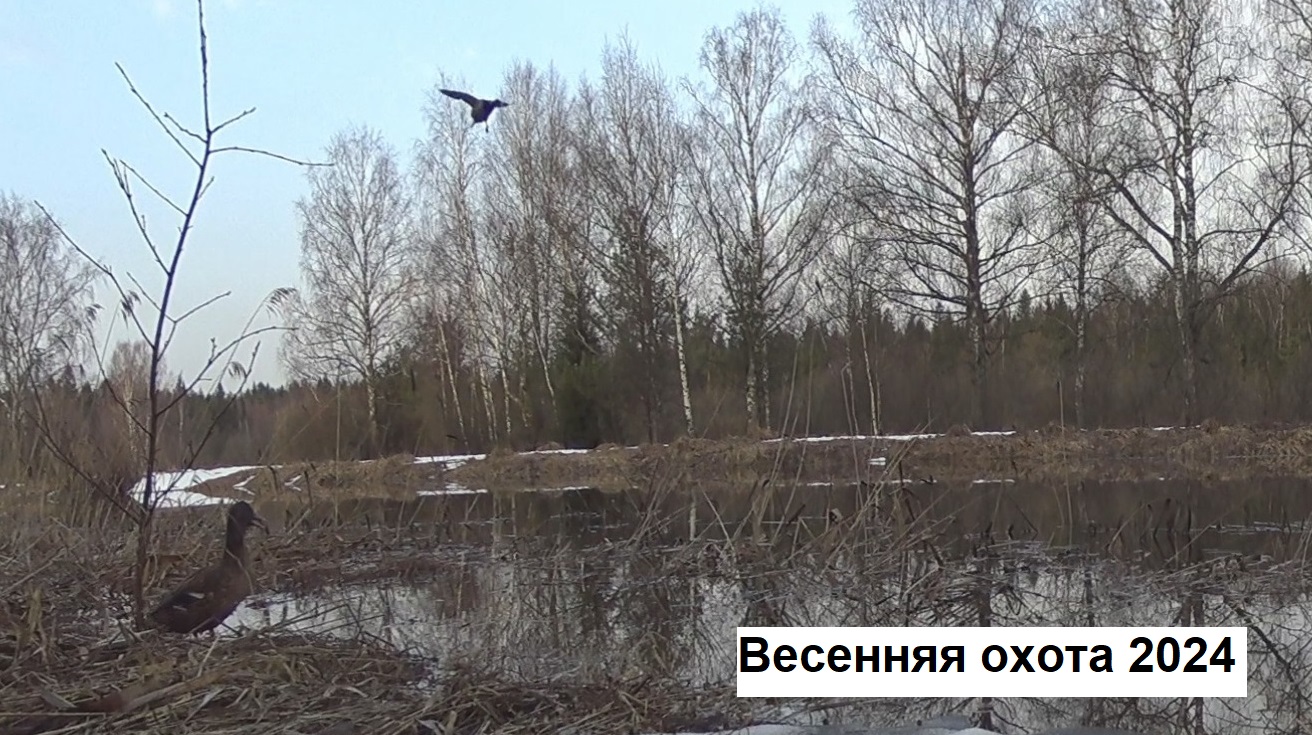 Весенняя охота 2024 смотреть онлайн