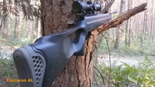 Пневматическая винтовка Hatsan 125 TH//Тест смотреть онлайн