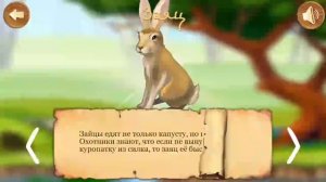Животные леса для детей. Развивающий мультик