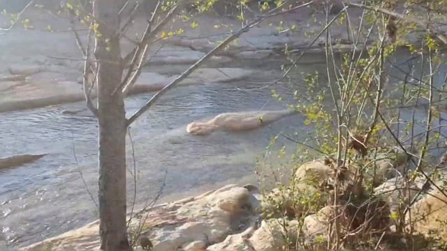 Прогулка по весеннему Абинску (Краснодарский край) смотреть онлайн