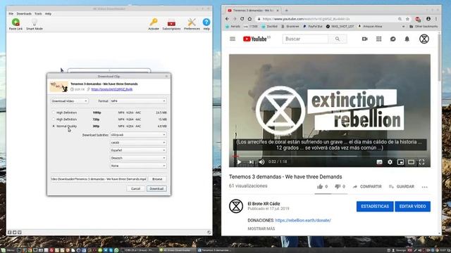 How to download subtitles and video with 4K DOWNLOADER смотреть онлайн