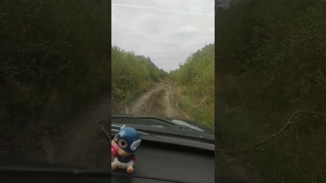 31 августа 2021 г.Конец лета. Выехали за грибами#грибы# дача#