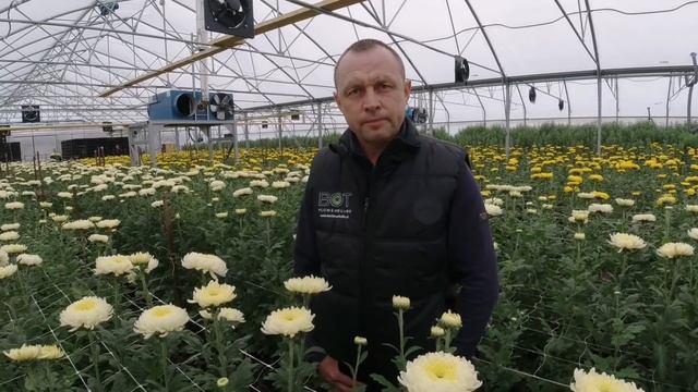 История одного успеха. Из учеников в директоры цветочного комплекса смотреть онлайн