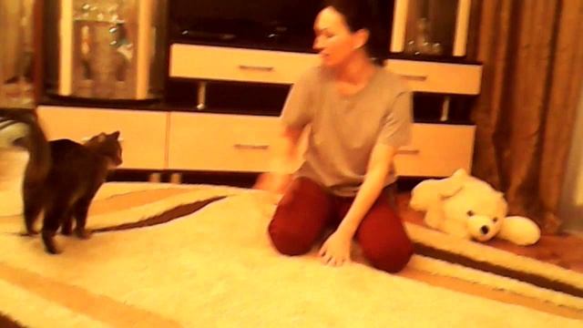 Вот что значит боятся кота!) смотреть онлайн