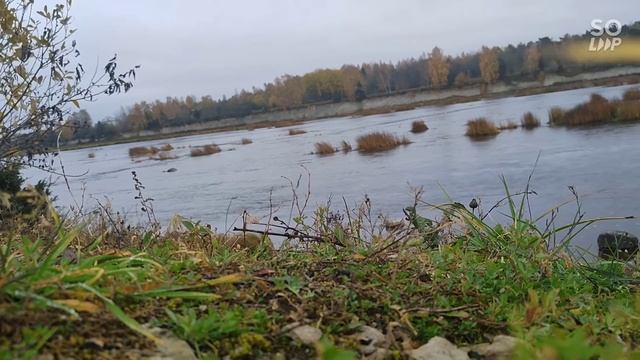 Щедрость Любы Киев. Обратились за комментариями к Наташе. Почему сестры не разъехались? смотреть онлайн