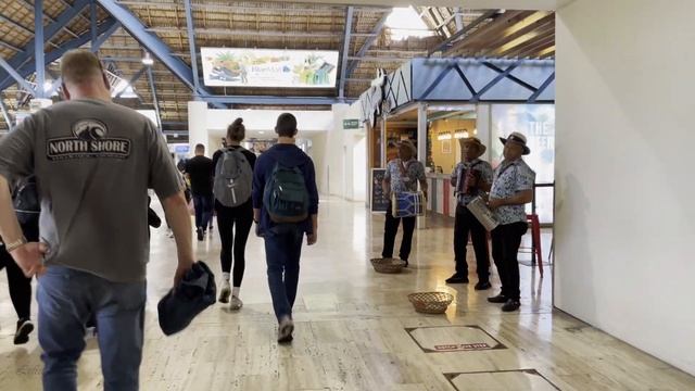 From Toronto Airport to Dominican Republic Punta Cana and Punta Cana Bus Shuttle to Resort смотреть онлайн