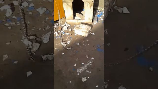 Алабай щенок по именем Булкан смотреть онлайн