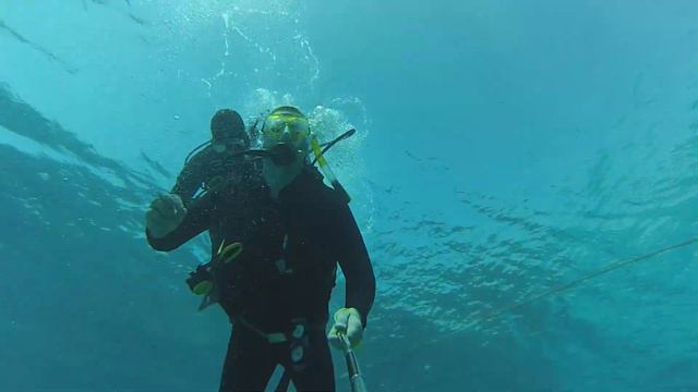 Прогулка в водах Красного моря смотреть онлайн