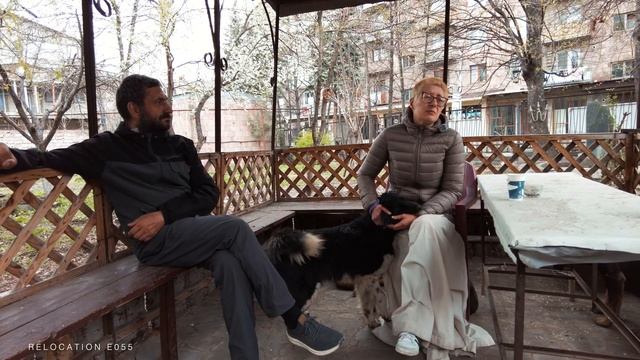 E055 | Жизнь уличных собак. Армения смотреть онлайн