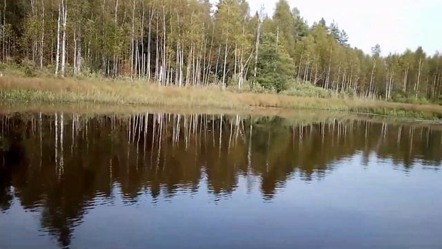 Селигерские покатушки сентябрь 2019 смотреть онлайн