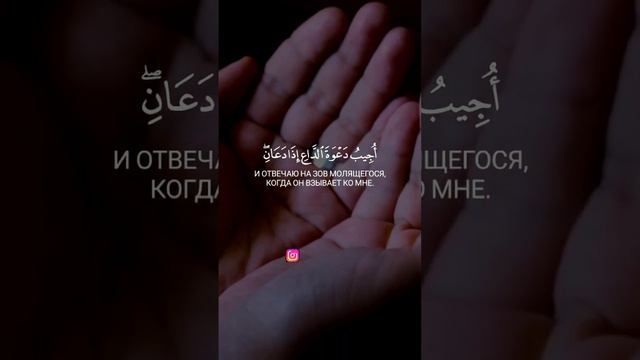 Сура 2 Аль-Бакара Чтец Ахмад Хедр аят 186 #коран #ислам #истина #сунна #сура #религия #пророк смотреть онлайн