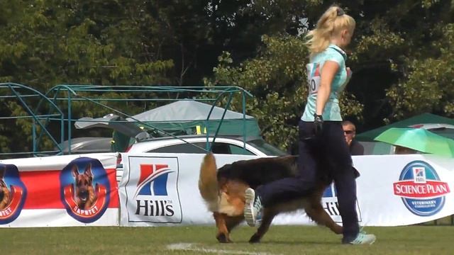 №360, ЛЕГЕ АРТИС СТИХИЯ, 3-4, рядом не пройдено/выражено/отпускает смотреть онлайн