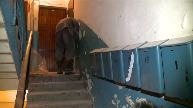 Зачет капитального ремонта смотреть онлайн