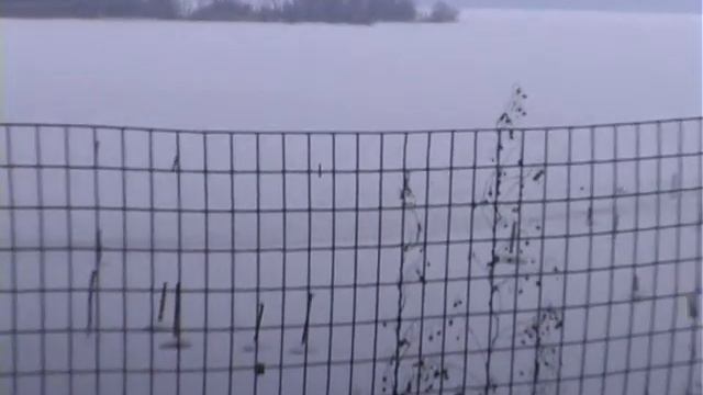 Рейд ГИМС переправы Воротынский р н смотреть онлайн