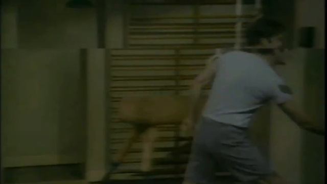 Monty Python's The Meaning of Life (7th Level) (Electronic Press Kit) смотреть онлайн