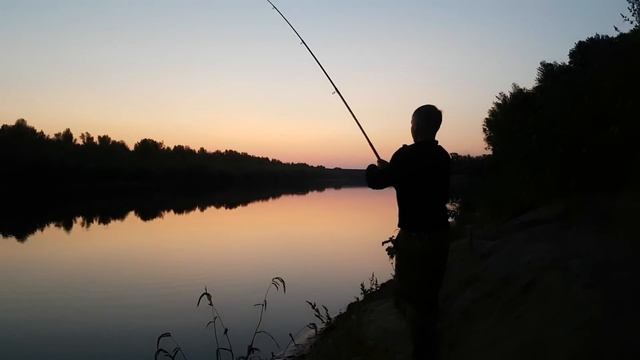 Закинул ночью на ракушку, утром проснулся весь берег. Рыбалка на реке Ахтуба 2 часть. смотреть онлайн